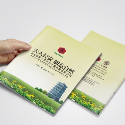 西安世园会｜产品画册design