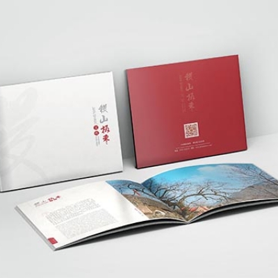 山西稷山板枣画册设计