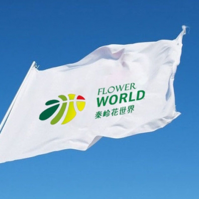 秦岭花世界logo-标识设计