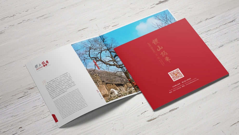 西安企业画册设计哪家专业？彤伟设计300+案例