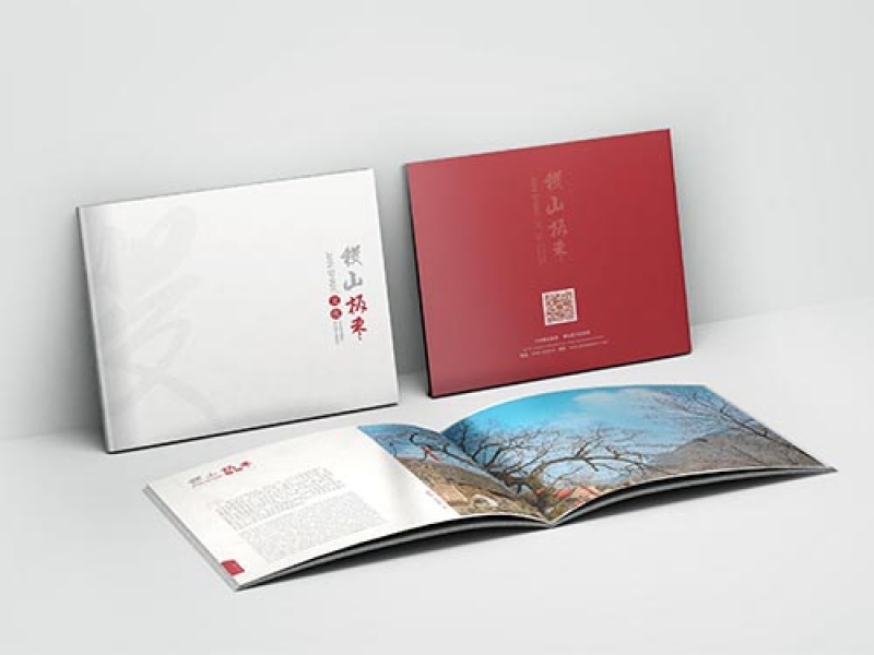 稷山板枣画册设计Jishan Banzao album design