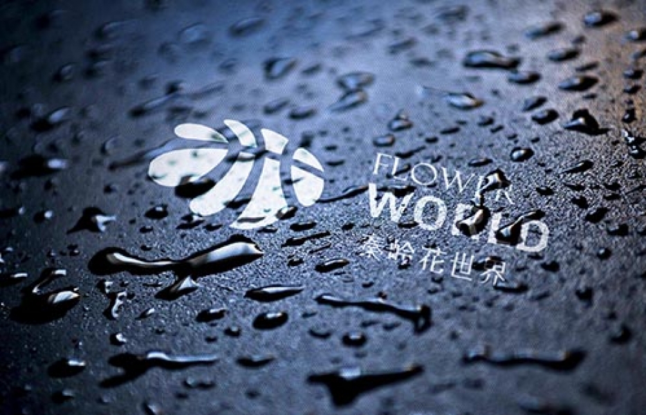 标志设计/logo design